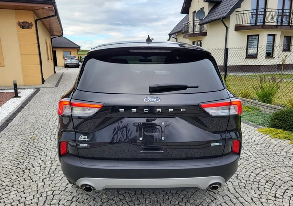 Ford Kuga cena 81500 przebieg: 33000, rok produkcji 2021 z Tarnów małe 436